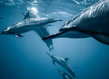 九游体育首页-阿达玛谈与库库雷利亚冲突：一切都留在场上，没有私人恩怨